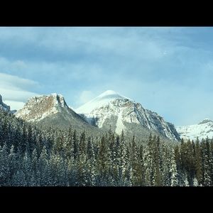 Meet your Posher, Gerda